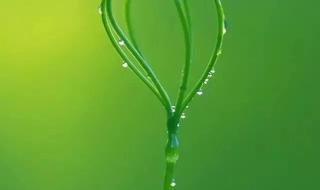 微信聊天背景图 微信聊天背景图