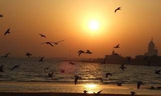 金飞传奇故事为啥不播了 金飞讲故事2013全集