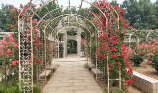 石家庄植物园几点开门 石家庄植物园门票