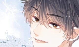 偷偷藏不住第十七集