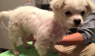 最后一场秋雨绵绵的唯美句子 秋雨绵绵无绝期